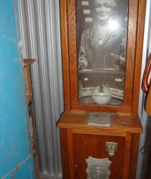 Fortune Teller “Mystic Palmist”