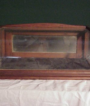 Curved Glass Oak County Counter Top Gum Display Case