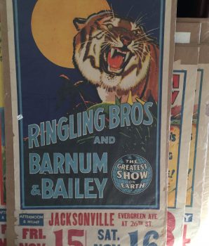 Ringling Bros Barnum & Bailey Circus Tiger Poster